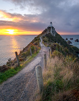Nugget Point
