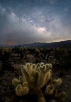 Cactus and Milky Way