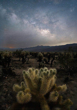 Cactus and Milky Way