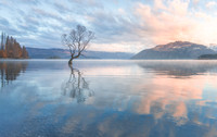 Golden Wanaka
